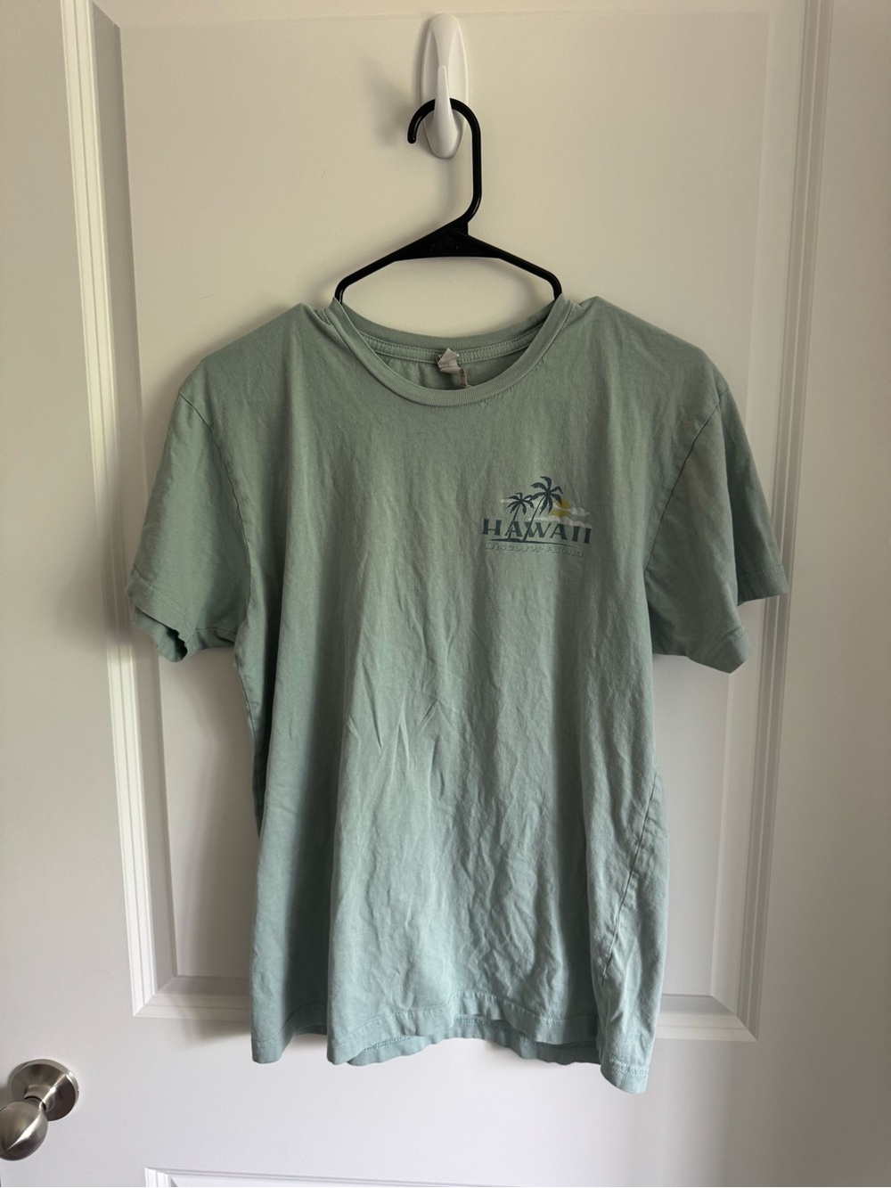 Hawaii Palm Graphic Tee in Dusty Blue